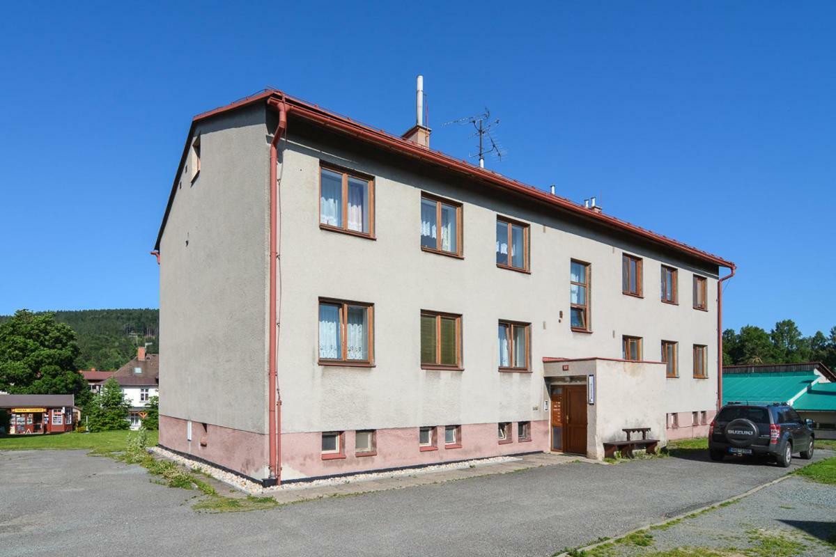 Apartman Destne 58 Lejlighed Destne v Orlickych horach Eksteriør billede